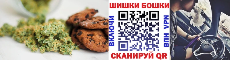 Купить где  Болхов  Canna-Cookies конопля 