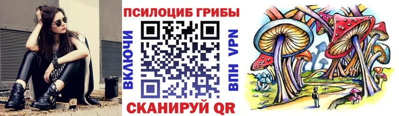 Псилоцибиновые грибы MAGIC MUSHROOMS  Купить закладки  Болхов 